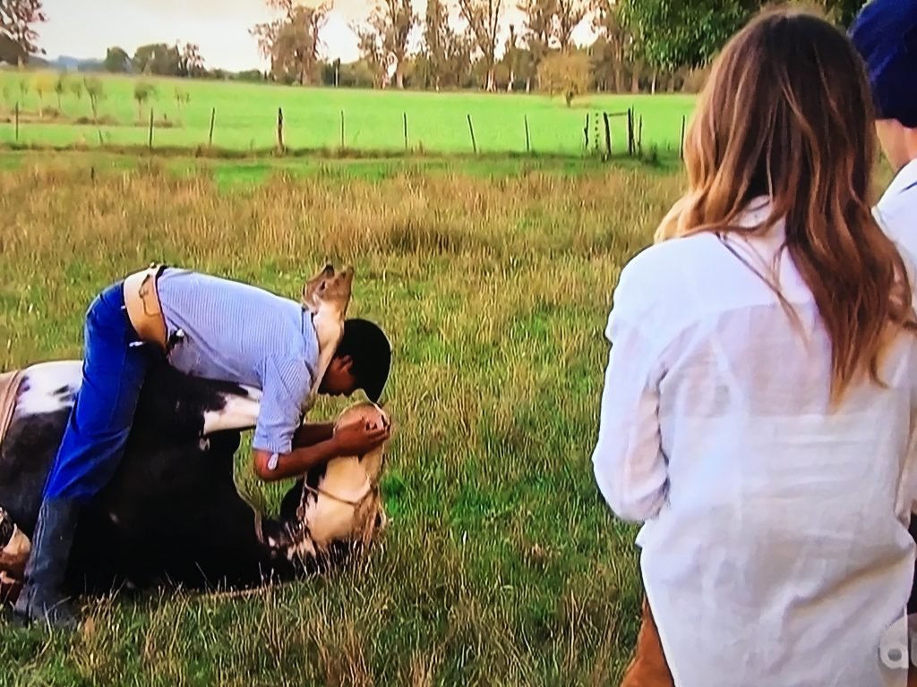 gaucho with horse on bachelorette