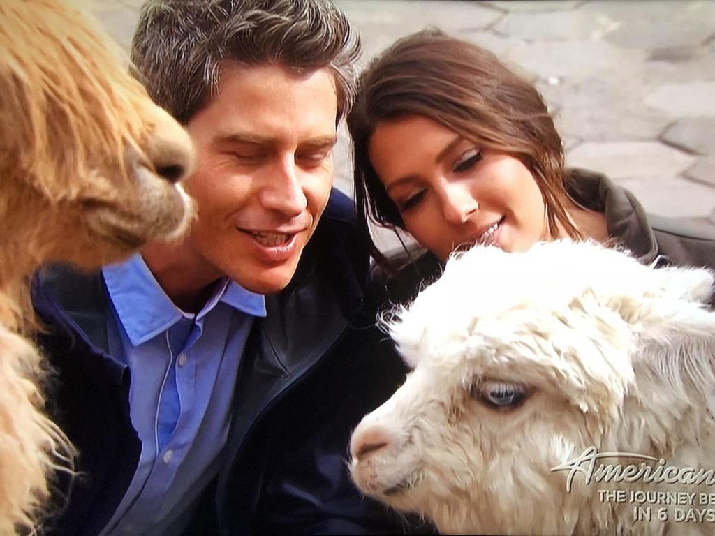 becca and arie with alpacas